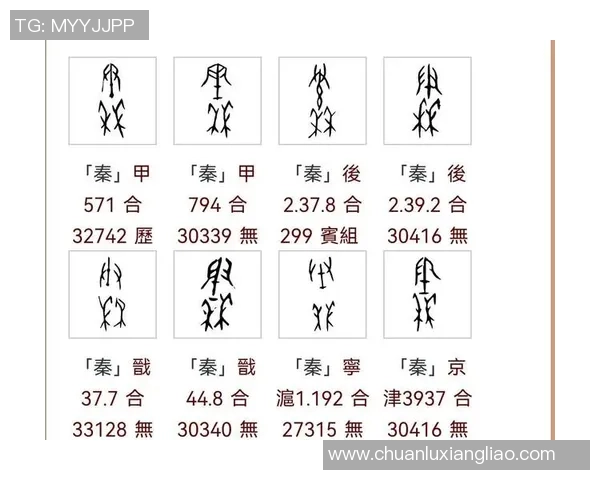 桑姓足球明星的传奇之路与辉煌成就探秘